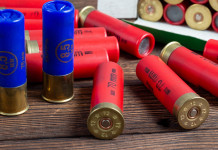 Zone umide e munizioni in piombo, gli emendamenti in parlamento Zone umide e munizioni in piombo: munizioni da caccia calibro 12