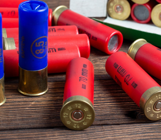 Zone umide e munizioni in piombo, gli emendamenti in parlamento Zone umide e munizioni in piombo: munizioni da caccia calibro 12