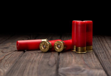 Annunciato voto di fiducia su ddl con modifiche alla legge sulla caccia Annunciato voto di fiducia su ddl con modifiche alla legge sulla caccia: munizioni da caccia