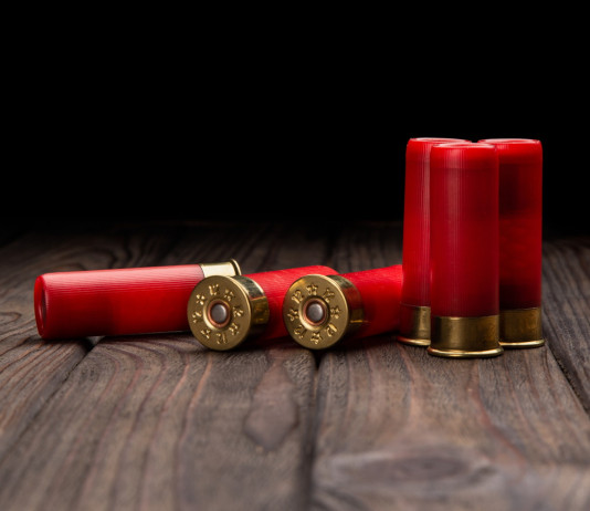 Annunciato voto di fiducia su ddl con modifiche alla legge sulla caccia Annunciato voto di fiducia su ddl con modifiche alla legge sulla caccia: munizioni da caccia