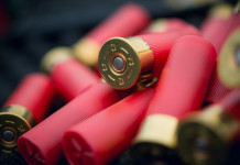 Approvate le modifiche alla legge sulla caccia Approvate le modifiche alla legge sulla caccia: munizioni da caccia