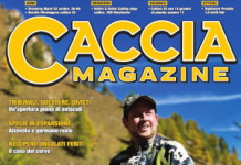 Caccia Magazine novembre 2023 Caccia Magazine novembre 2023: copertina