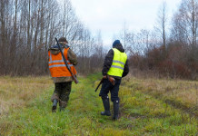 Calendari venatori, i dubbi dell’Arcicaccia sulla nuova formulazione della legge Calendari venatori, i dubbi dell’Arcicaccia sulla nuova formulazione della legge: due cacciatori di spalle con gilet alta visibilità