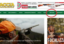 Collegamento diretto da Caccia Magazine per acquistare fucili da caccia usati Collegamento diretto da Caccia Magazine per acquistare fucili da caccia usati