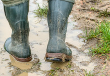 Emendamenti alla legge sulla caccia, il commento di Confagricoltura Emendamenti alla legge sulla caccia: primo piano su stivali di contadino nel fango
