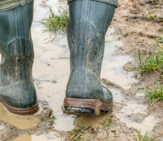 Emendamenti alla legge sulla caccia, il commento di Confagricoltura Emendamenti alla legge sulla caccia: primo piano su stivali di contadino nel fango