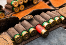 Le modifiche alla legge sulla caccia in Gazzetta ufficiale Le modifiche alla legge sulla caccia in Gazzetta ufficiale: munizioni da caccia