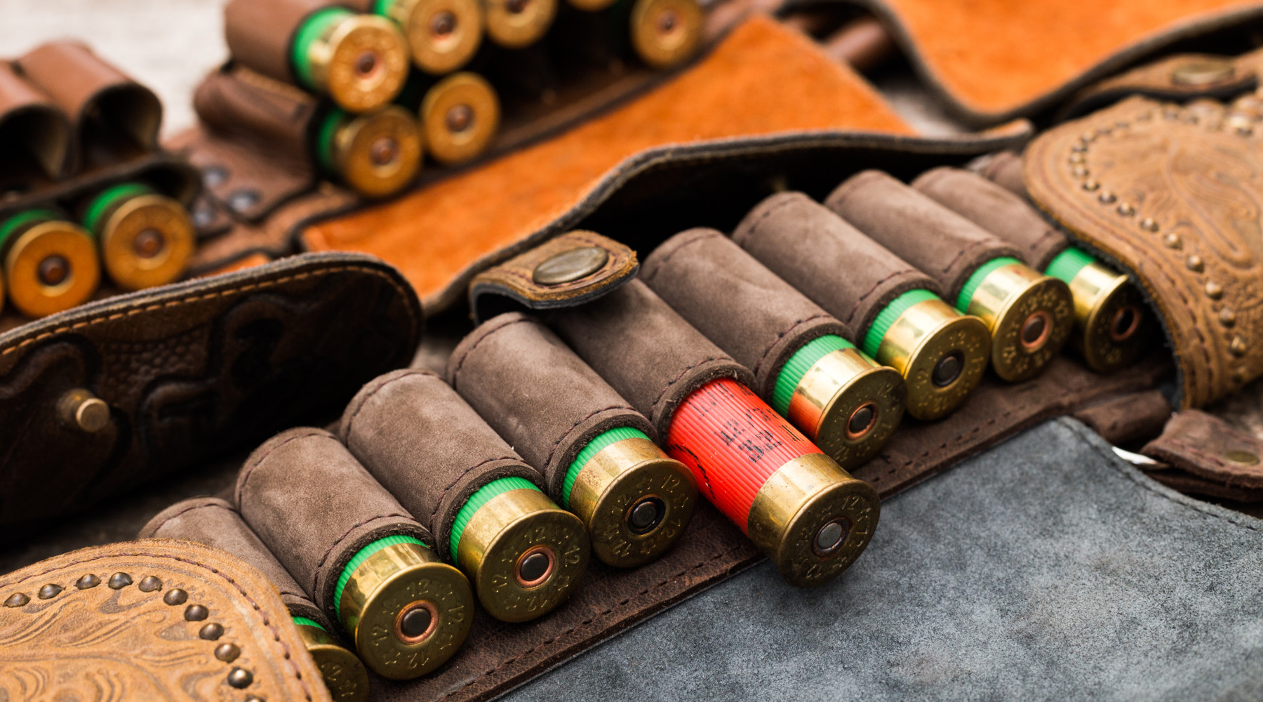 Le modifiche alla legge sulla caccia in Gazzetta ufficiale: munizioni da caccia