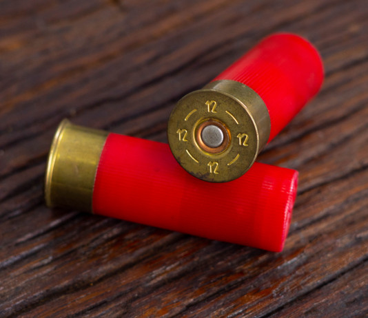 Legge sulle munizioni in piombo, il commento dell’Arcicaccia Legge sulle munizioni in piombo, il commento dell’Arcicaccia: due munizioni in piombo con bossolo rosso