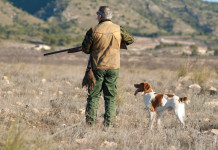 Contributi economici ai cacciatori, la risposta dell’assessore Contributi economici ai cacciatori, la risposta dell’assessore: cacciatore di spalle con cane da caccia
