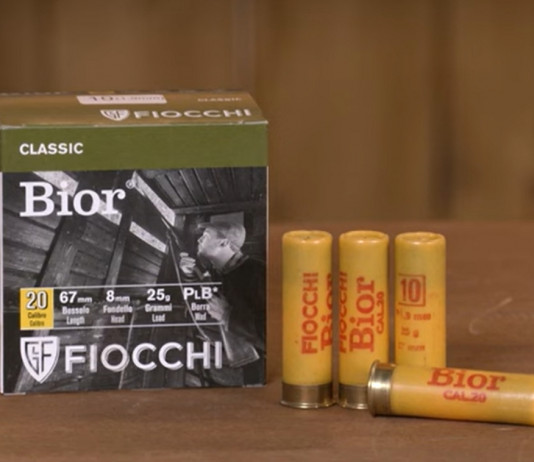 Fiocchi Bior calibro 20: presentazione e prova in placca Fiocchi Bior calibro 20 presentazione con test in placca