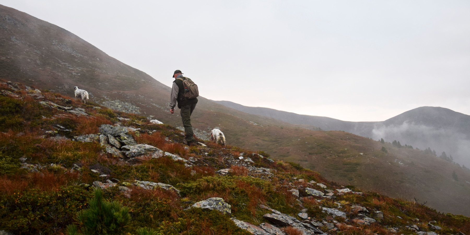la cultura della caccia: cacciatore sale montagna con cani