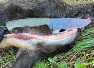 Come dev’essere il coltello da caccia? I sei parametri per scegliere scelta del coltello da caccia