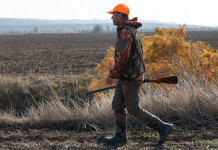 Associazioni venatorie negli Atc, decreto del Consiglio di Stato Associazioni venatorie negli Atc, decreto del Consiglio di Stato: cacciatore cammina con fucile in mano