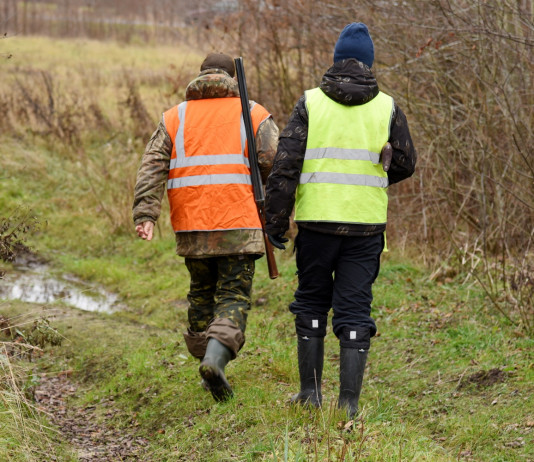 Fratelli d’Italia ritira ddl modifica legge sulla caccia Fratelli d’Italia ritira ddl modifica legge sulla caccia: due cacciatori di spalle, con gilet alta visibilità
