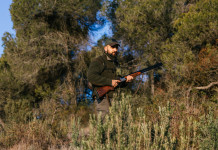 Piano faunistico regionale e atti d’indirizzo, la sentenza del Consiglio di Stato Piano faunistico regionale e atti d’indirizzo, la sentenza del Consiglio di Stato: cacciatore con fucile nel bosco