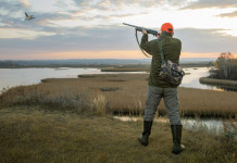 Privatizzazione della caccia, l’allarme dell’Arcicaccia Privatizzazione della caccia, l’allarme dell’Arcicaccia: cacciatore di anatre