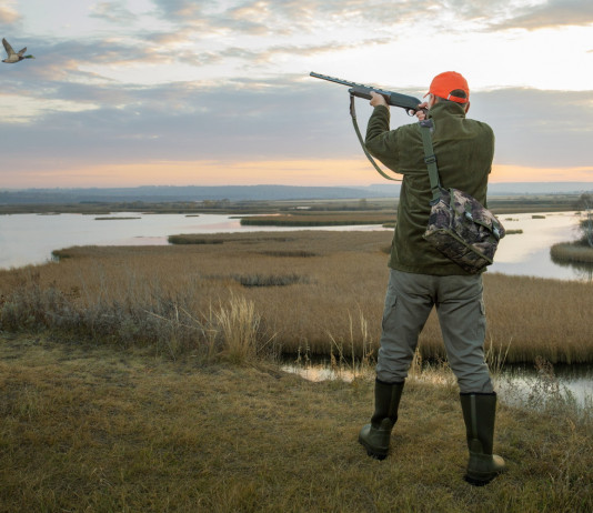 Privatizzazione della caccia, l’allarme dell’Arcicaccia Privatizzazione della caccia, l’allarme dell’Arcicaccia: cacciatore di anatre