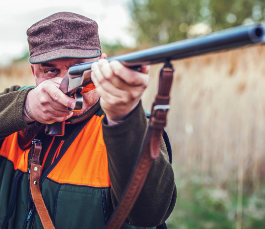 Associazioni venatorie negli Atc, l’ordinanza del Consiglio di Stato Associazioni venatorie negli Atc, l’ordinanza del Consiglio di Stato: cacciatore con doppietta