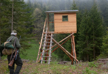 Caccia di selezione da appostamento: visione privilegiata Caccia di selezione da appostamento visione privilegiata: cacciatore con altana da caccia