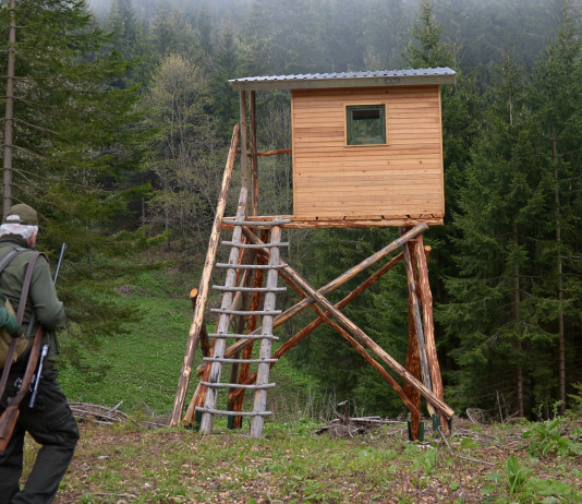 Caccia di selezione da appostamento: visione privilegiata Caccia di selezione da appostamento visione privilegiata: cacciatore con altana da caccia