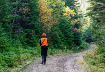 Esame per l’abilitazione alla caccia in Toscana, approvate domande Esame per l’abilitazione alla caccia in Toscana, approvate domande: giovane cacciatore, di spalle, con cappello e gilet alta visibilità