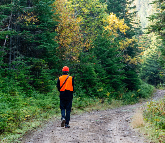 Esame per l’abilitazione alla caccia in Toscana, approvate domande Esame per l’abilitazione alla caccia in Toscana, approvate domande: giovane cacciatore, di spalle, con cappello e gilet alta visibilità