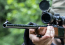 Italia a rischio procedura d’infrazione sul controllo faunistico Italia a rischio procedura d’infrazione sul controllo faunistico: cacciatore guarda attraverso cannocchiale montato su carabina