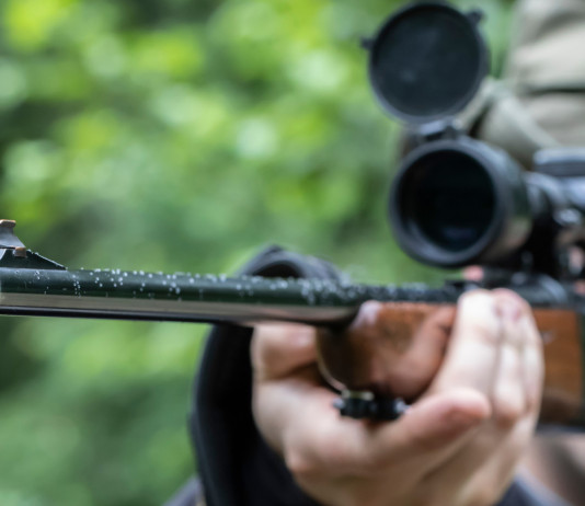 Italia a rischio procedura d’infrazione sul controllo faunistico Italia a rischio procedura d’infrazione sul controllo faunistico: cacciatore guarda attraverso cannocchiale montato su carabina