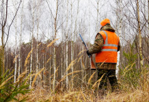 Modifica della legge sulla caccia, iniziata la discussione del ddl Modifica della legge sulla caccia, iniziata la discussione sul ddl: cacciatore di spalle con gilet arancione alta visibilità e fucile in mano