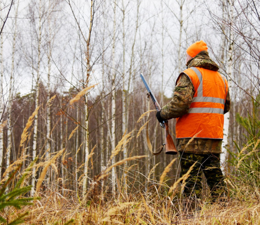 Modifica della legge sulla caccia, iniziata la discussione del ddl Modifica della legge sulla caccia, iniziata la discussione sul ddl: cacciatore di spalle con gilet arancione alta visibilità e fucile in mano