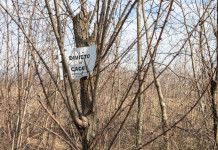 Modifiche della legge sulla caccia, controproposta Movimento 5 Stelle Modifiche della legge sulla caccia, controproposta Movimento 5 Stelle: cartello "divieto di caccia"