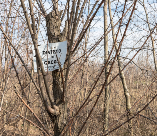 Modifiche della legge sulla caccia, controproposta Movimento 5 Stelle Modifiche della legge sulla caccia, controproposta Movimento 5 Stelle: cartello "divieto di caccia"