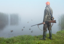 Richiami vivi e influenza aviaria, ministero risponde a Libera Caccia Richiami vivi e influenza aviaria, ministero risponde a Libera Caccia: cacciatore con fucile a caccia di uccelli acquatici