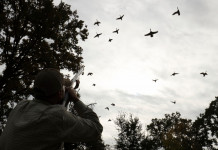 Benelli Advanced Impact: il test a caccia e al tiro a volo Benelli Advanced Impact test a caccia e al tiro a volo