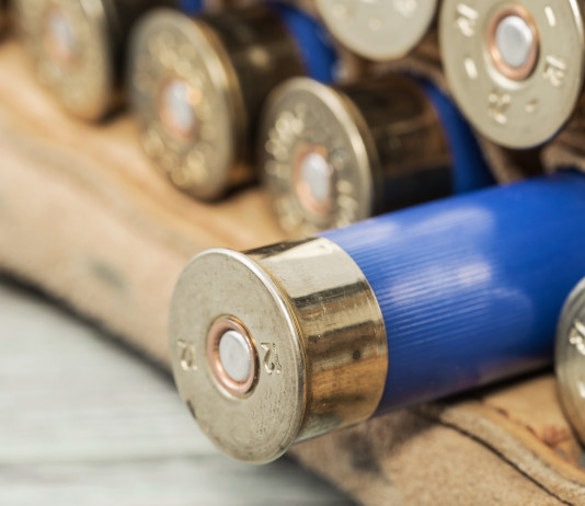 Caccia e piombo, aperta procedura d’infrazione europea contro l’Italia Caccia, aperta procedura d’infrazione europea contro l’Italia: munizioni da caccia in piombo calibro 12