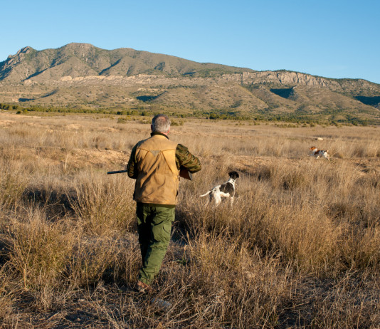 Calendario venatorio delle Marche 2024/2025, quattro associazioni contro l’Arcicaccia Calendario venatorio delle Marche 2024/2025, quattro associazioni contro l’Arcicaccia - cacciatore con cane