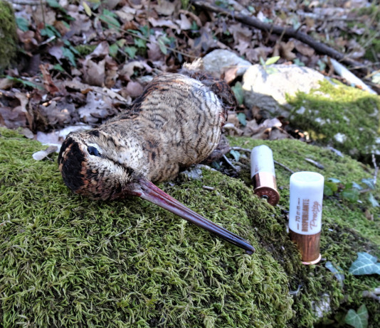 Nobel sport Italia Prestige Dispersante 35 dual shot calibro 12: il test a caccia Nobel sport Italia Prestige Dispersante 35 dual shot calibro 12 test a caccia