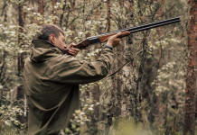 Numero di Atc per provincia: respinto ricorso animalisti Numero di Atc per provincia: respinto ricorso animalisti - cacciatore con fucile