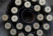 Procedura d’infrazione sulla caccia, Lipu: «Stop a ddl Bruzzone» Procedura d’infrazione sulla caccia, Lipu: «Stop a ddl Bruzzone»: cartucce da caccia nella cartuccera, viste dall'alto