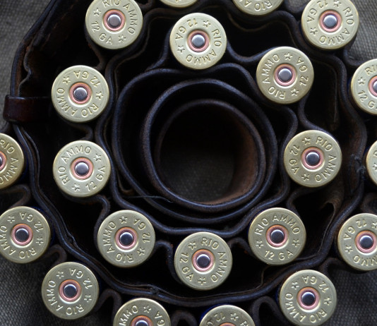 Procedura d’infrazione sulla caccia, Lipu: «Stop a ddl Bruzzone» Procedura d’infrazione sulla caccia, Lipu: «Stop a ddl Bruzzone»: cartucce da caccia nella cartuccera, viste dall'alto