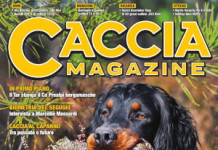 Caccia Magazine aprile 2024 Caccia Magazine aprile 2024 edicola