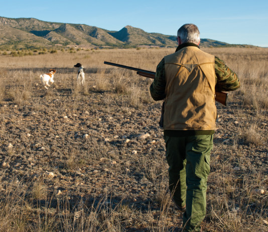 L’Atc Ancona 2 resta commissariato L’Atc Ancona 2 resta commissariato: cacciatore con cani