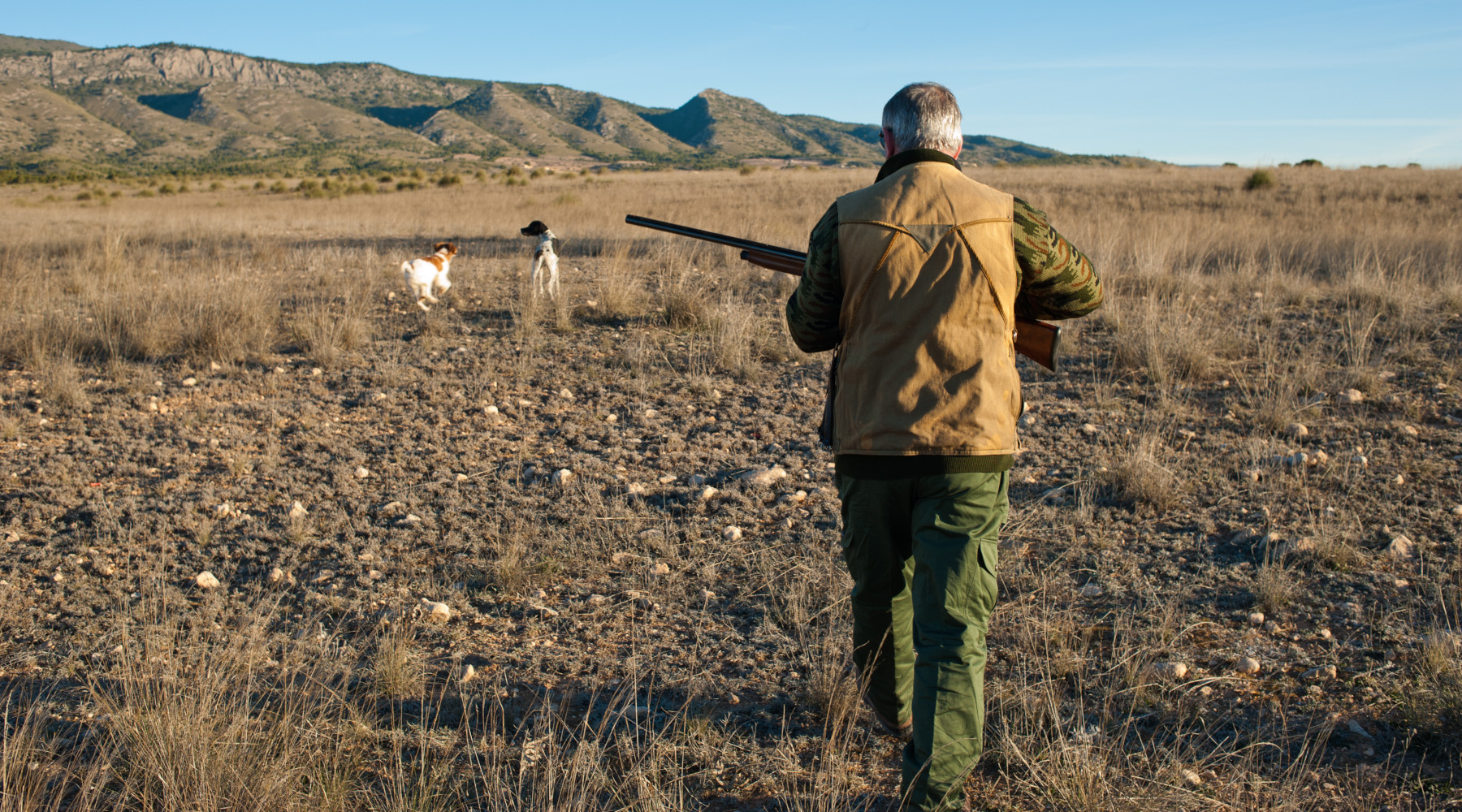 L’Atc Ancona 2 resta commissariato L’Atc Ancona 2 resta commissariato: cacciatore con cani