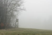 Modifica della legge sulla caccia, cadono 357 emendamenti Modifica della legge sulla caccia, cadono 357 emendamenti: altana da caccia nella nebbia