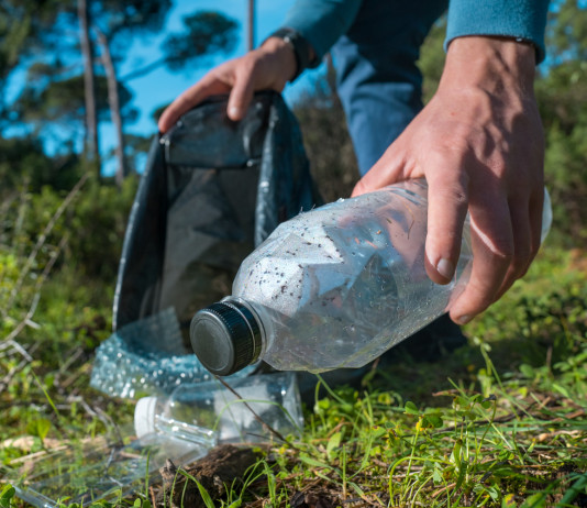Più di 600 ore di volontariato nell’operazione Paladini del territorio 2024 Più di 600 ore di volontariato nell’operazione Paladini del territorio 2024: raccolta spazzatura dal bosco