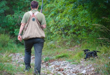 Prove Sant’Uberto: una risorsa per la caccia e per la cinofilia Prove Sant’Uberto una risorsa per la caccia e per la cinofilia