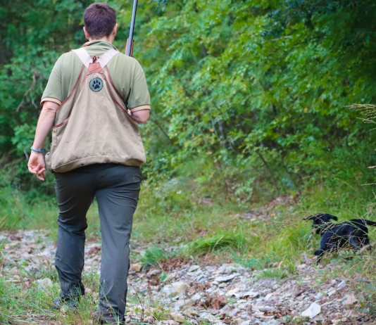 Prove Sant’Uberto: una risorsa per la caccia e per la cinofilia Prove Sant’Uberto una risorsa per la caccia e per la cinofilia