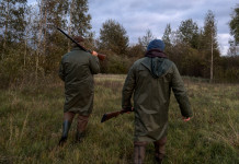 Rappresentanza delle associazioni nel comitato faunistico-venatorio, movimenti nelle Marche Rappresentanza delle associazioni nel comitato faunistico-venatorio, movimenti nelle Marche: due cacciatori di spalle