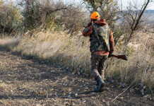 Respinto ricorso su composizione comitato tecnico faunistico-venatorio nazionale Respinto ricorso su composizione comitato tecnico faunistico-venatorio nazionale: cacciatore di spalle, con fucile in mano